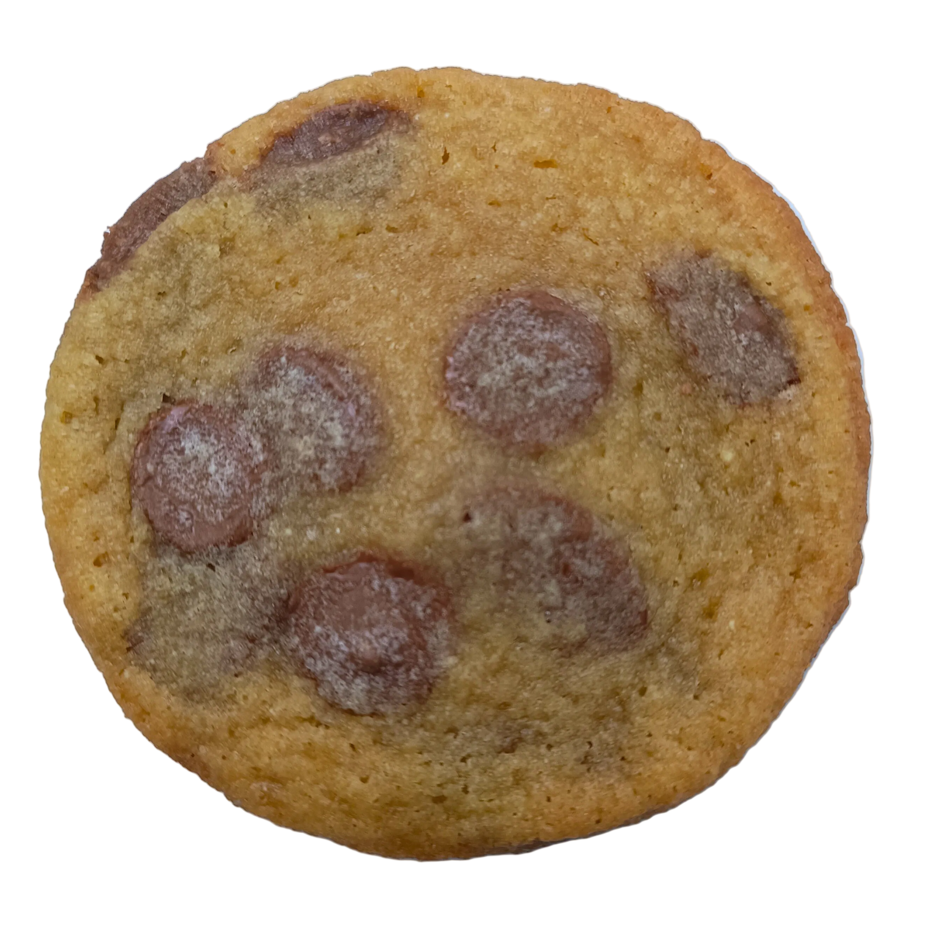 Chocolate Chip